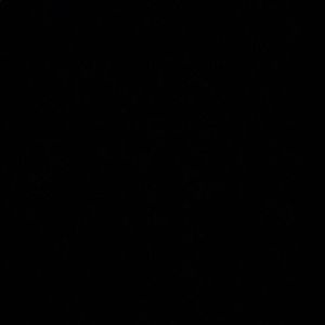 Meet your Posher, Lydia